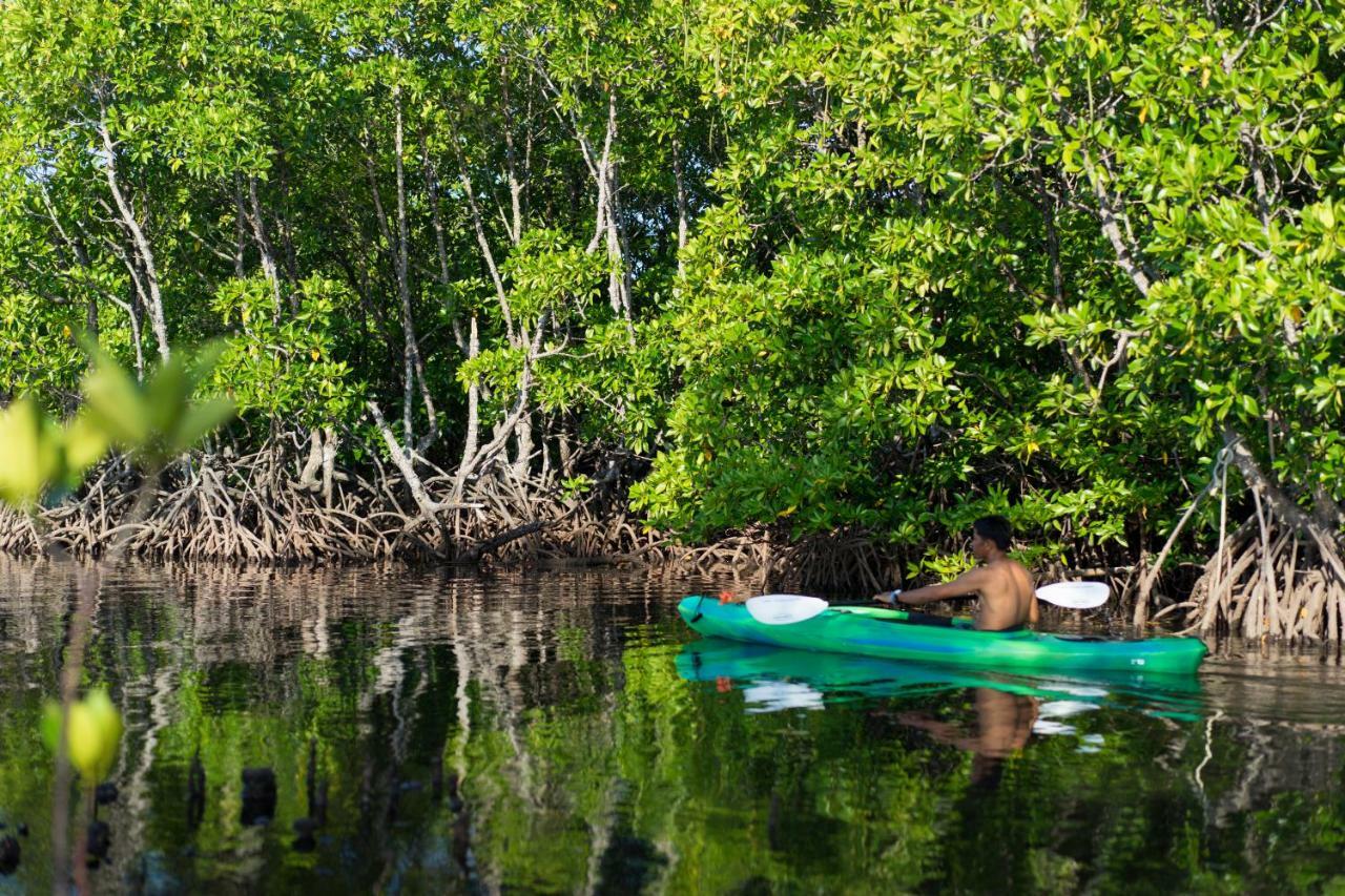 La Estancia Busuanga Eksteriør billede